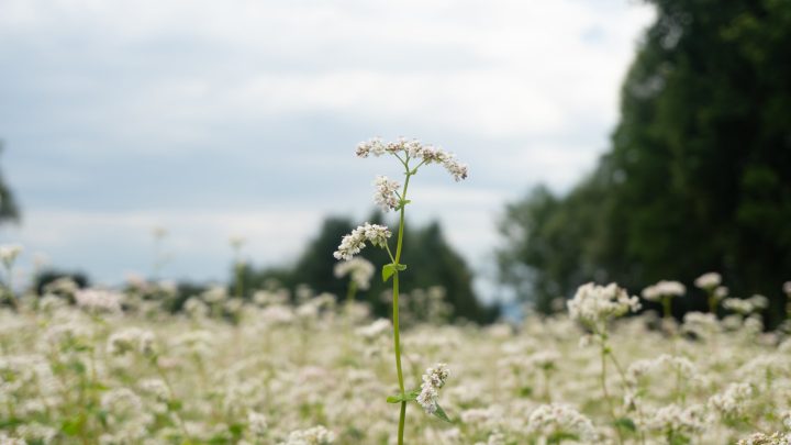 Krajina & příroda